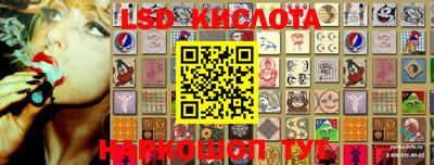 твердый Новодвинск