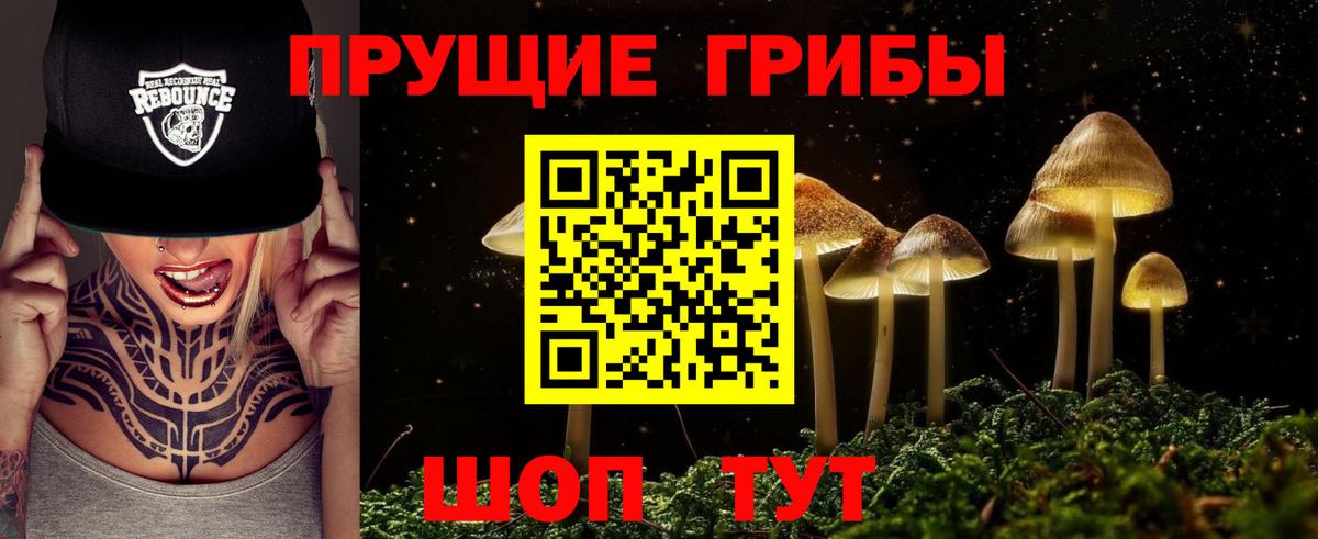 Галлюциногенные грибы прущие грибы Ртищево